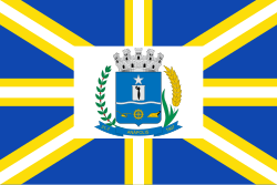 Bandeira de Anápolis